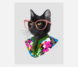 Fashion Cat