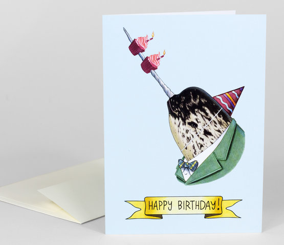 Berkley illustration coupon