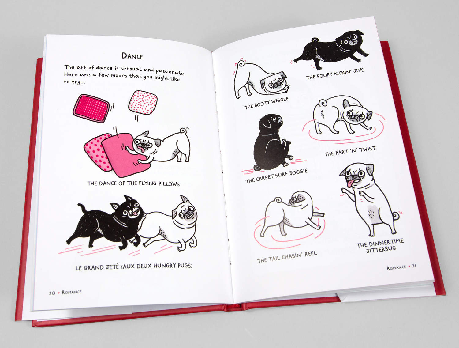 a pug's guide to dating