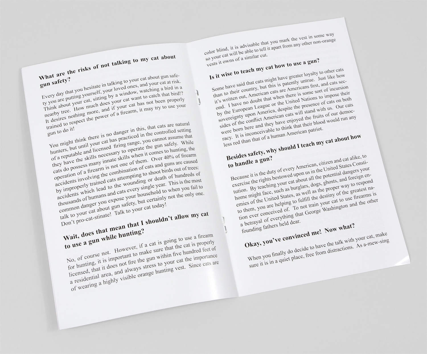 The American Association of Patriots How to Talk to Your Cat About