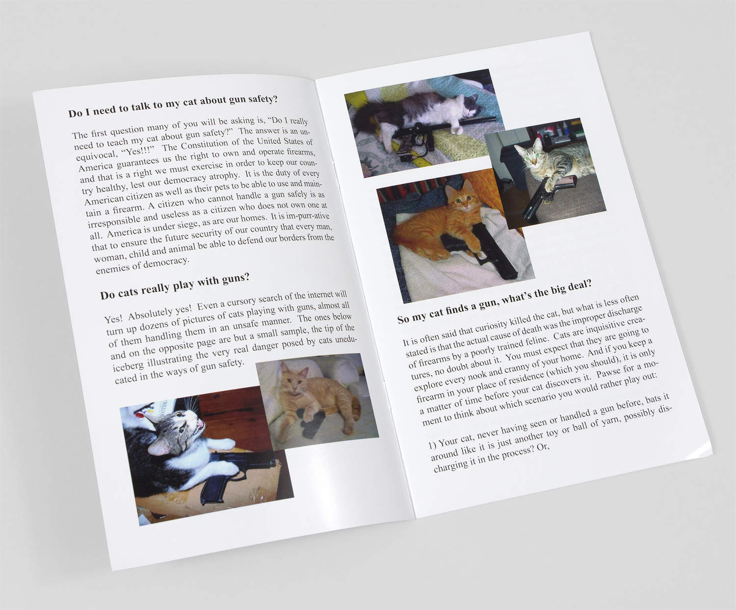 how to my to speak the american association of patriots how to talk to your cat about gun safety at how to my to speak the american association of patriots how to talk to your cat about gun safety at