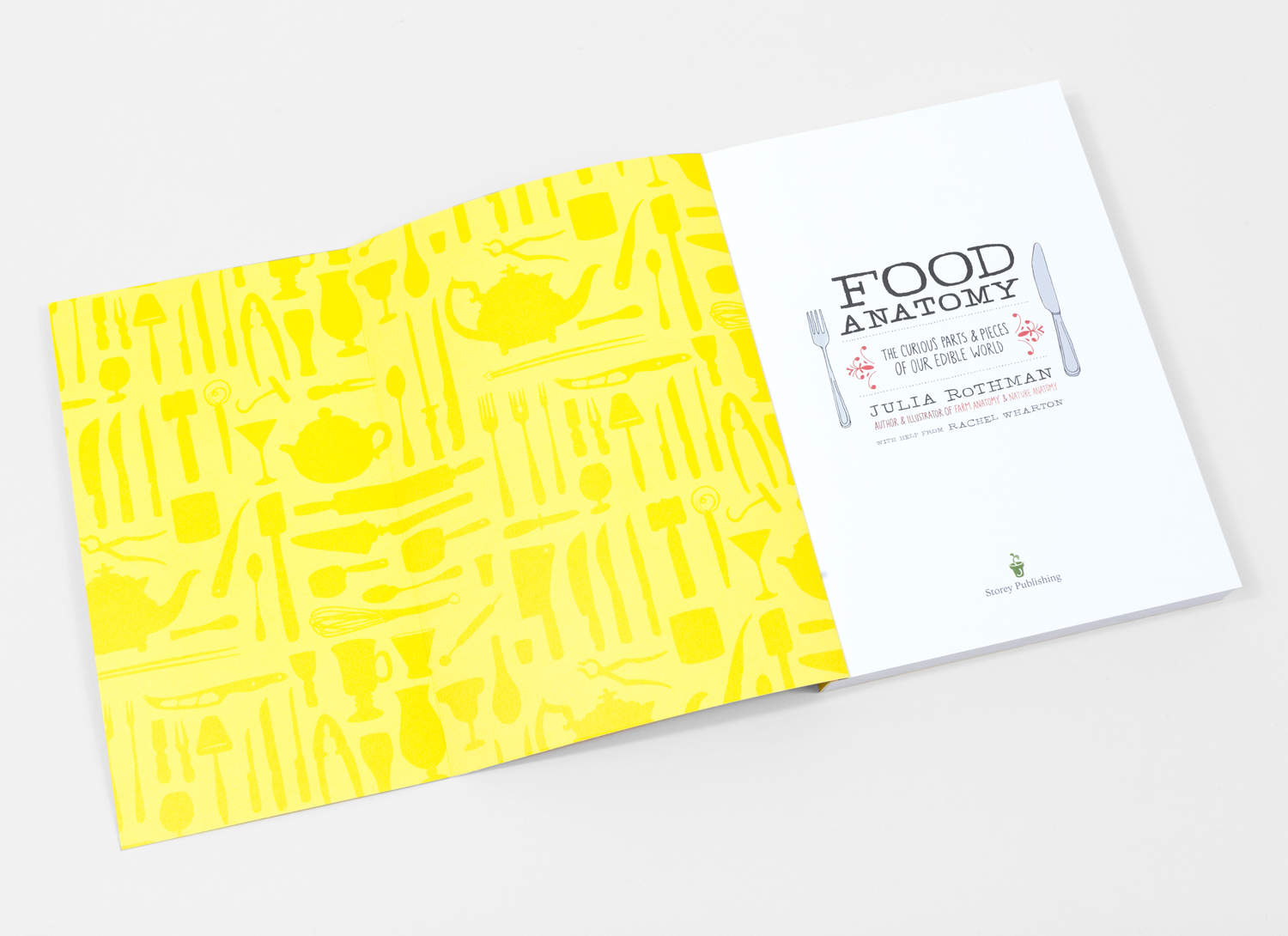 Julia Rothman - Food Anatomy at buyolympia.com