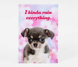 I Kinda Ruin Everything