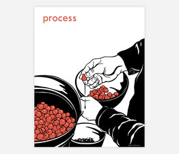 Process