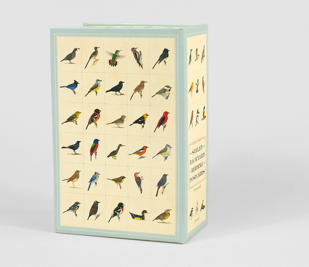 David Sibley Sibley Backyard Birding Postcards at