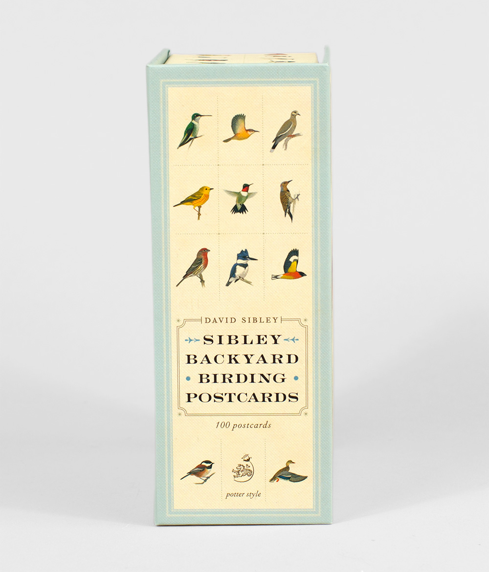 David Sibley Sibley Backyard Birding Postcards at