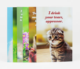Social Justice Kittens Vol. I